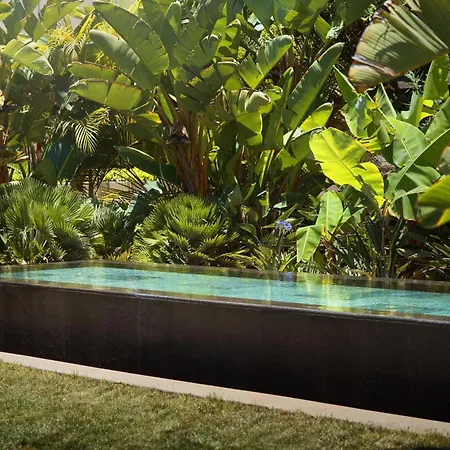 Bright Oceanfront Bungalow, Views, Garden, Coastal Casa vacanze *