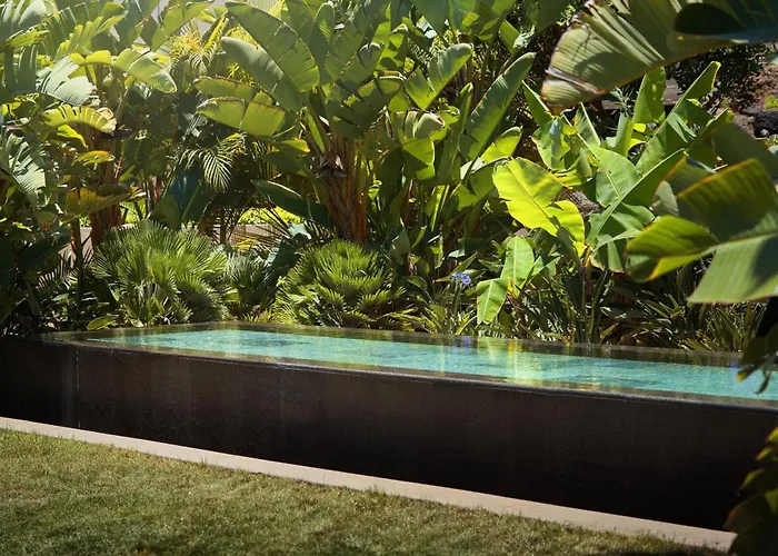 Bright Oceanfront Bungalow, Views, Garden, Coastal 펜션 *